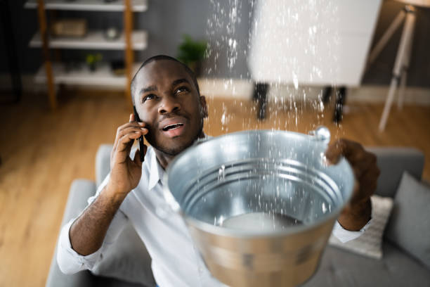 Best Water damage restoration near me  in Woodbine, IA
