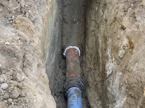 Best Professional water damage repair  in Woodbine, IA