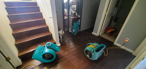 Best Water damage contractors near me  in Woodbine, IA