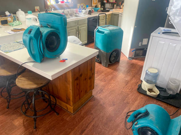 Best Basement water damage restoration  in Woodbine, IA