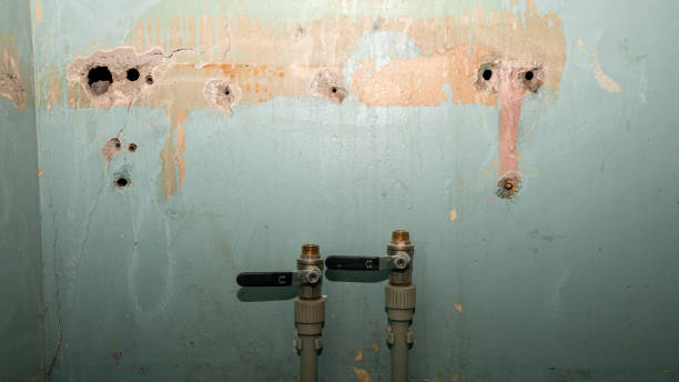 Water damage restoration insurance claims in Woodbine, IA