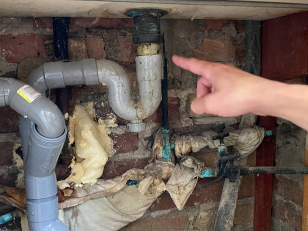 Best Mold removal after water damage  in Woodbine, IA