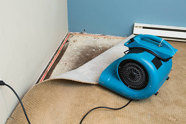 Best Water damage restoration insurance claims  in Woodbine, IA